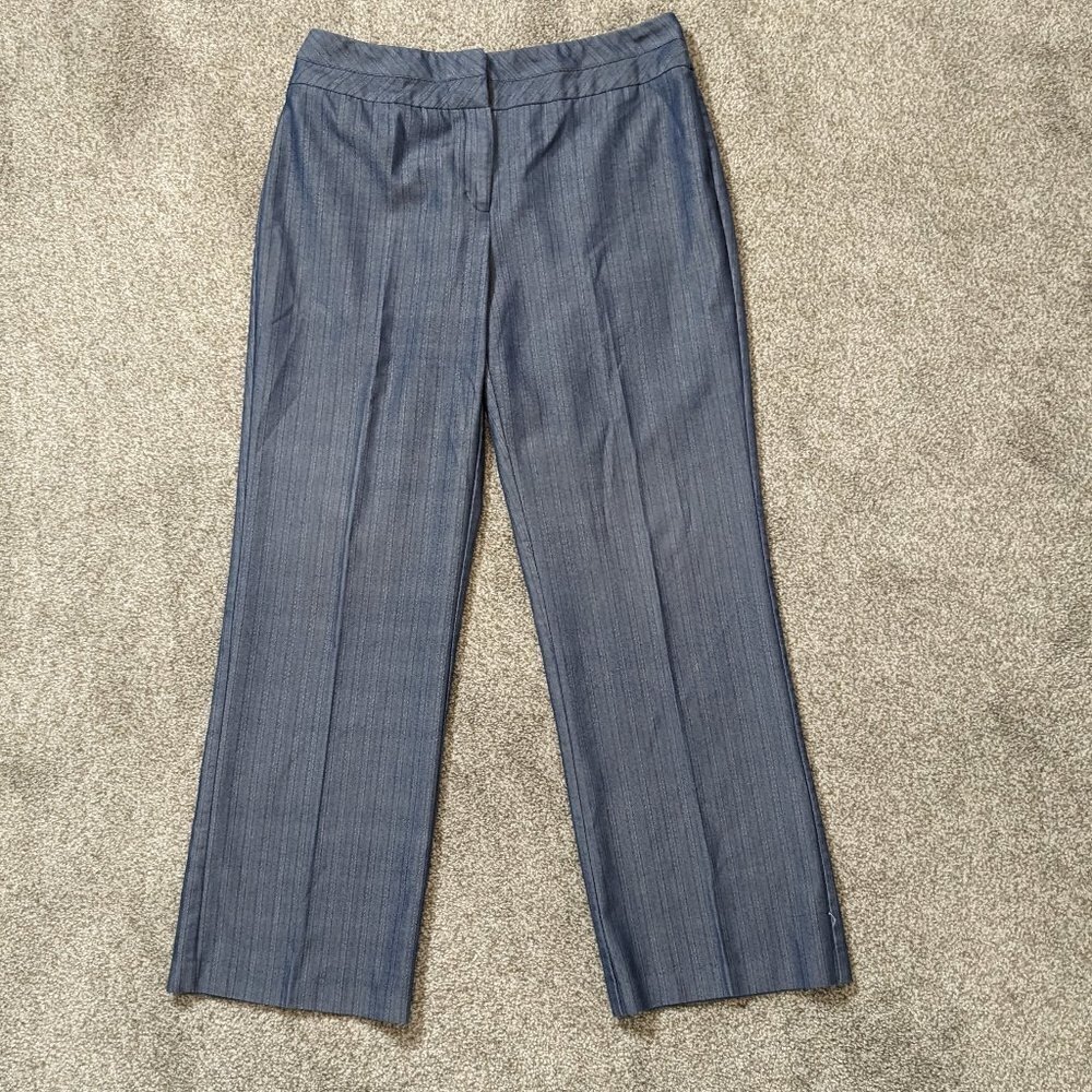 WOMEN'S "Ingredients" Stretch, Blue Striped Casual Zippered Pants; Size 10